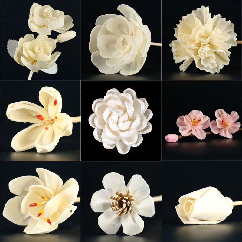 Assorted Reed Diffuser Sola Wood Flowers Assortment for Decoration, Flower Bouquets and DIY Home Decor