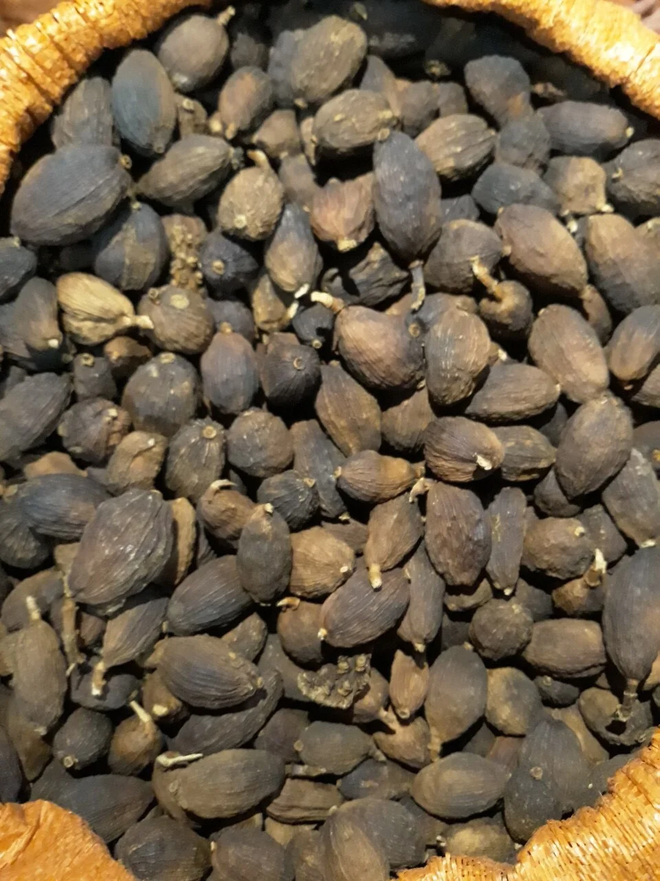 Black Cardamon/ Cardamon Seed/ Amomum Tsao-ko New Crop 2022