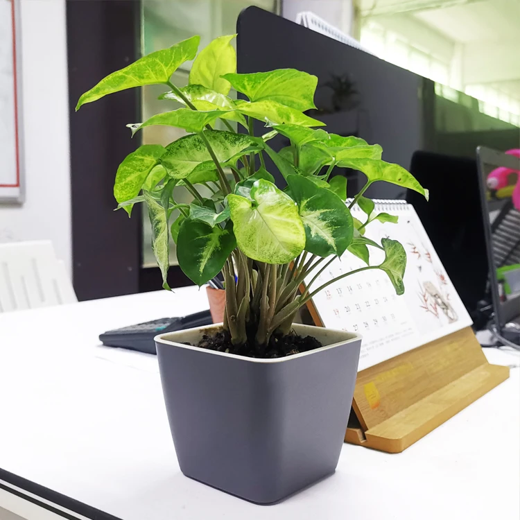 Terracotta pots wholesale self watering planters