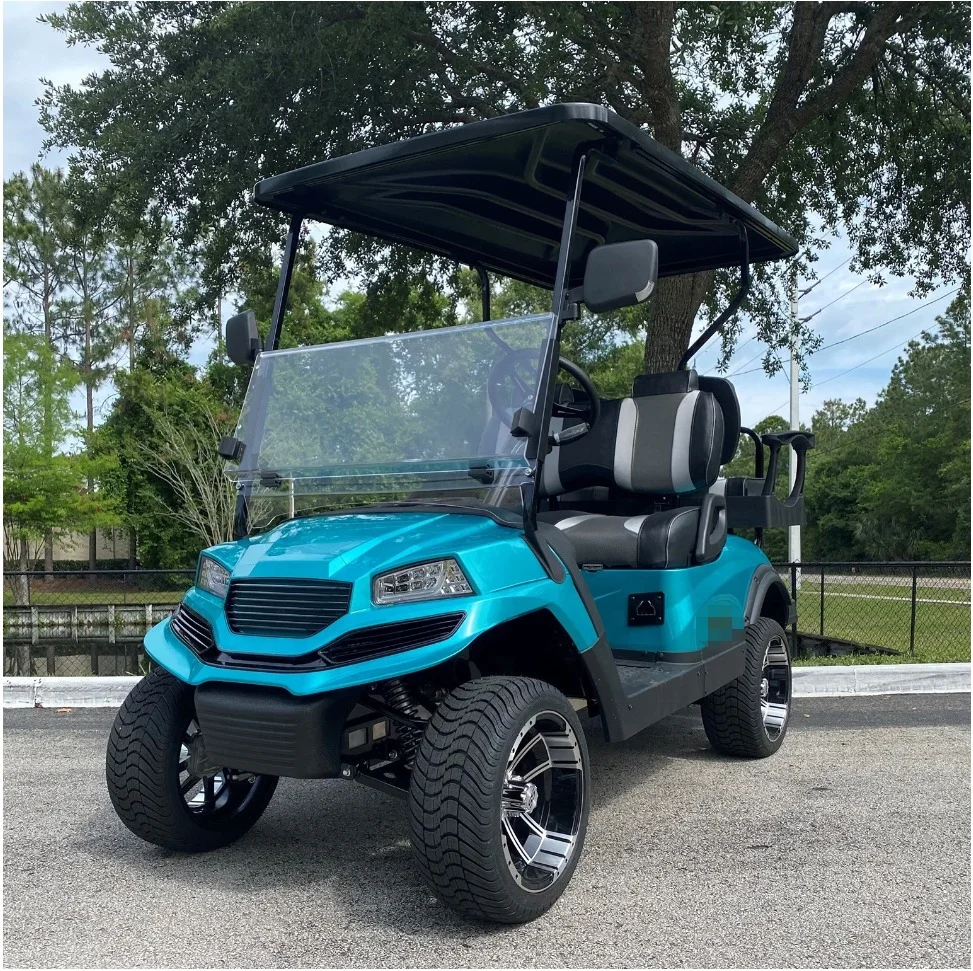 Top brand OEM practical 4 wheel electric vehicle Golf type mini electric truck