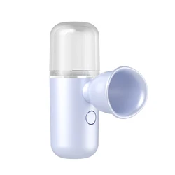 Newest Mini 2 In 1 Handheld  Electric Eye Moisturizer Face Steamer Facial Nano Mist Spray Eye