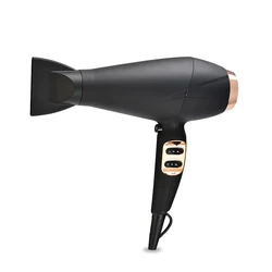 Taiyun 2000W hot selling  Professional  ionic  hair dryer hair salon