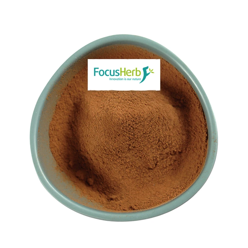 
FocusHerb Natural S-allyl-cystine Fermented Black Garlic Extract Powder 