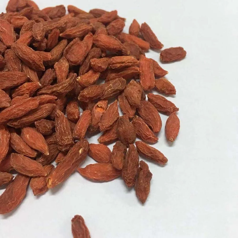 China goji berry for sale