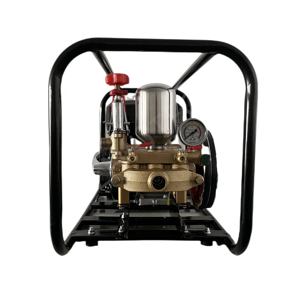 Mist Blower Agriculture Petrol Engine Pump Orchard Sprayer