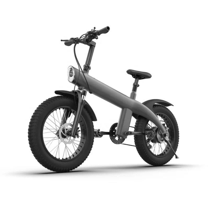 High Quality 48V 750W 20 inch Tire Ebike Off Road High Speed Electric Bike Mountain Cross-Country Electric Bicycle