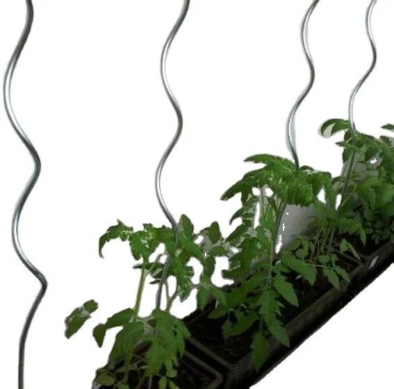 Factory Price Stable PVC Coated Tomato Spiral Stakes Cucumber Supporting Plant Climbing Stake Wire