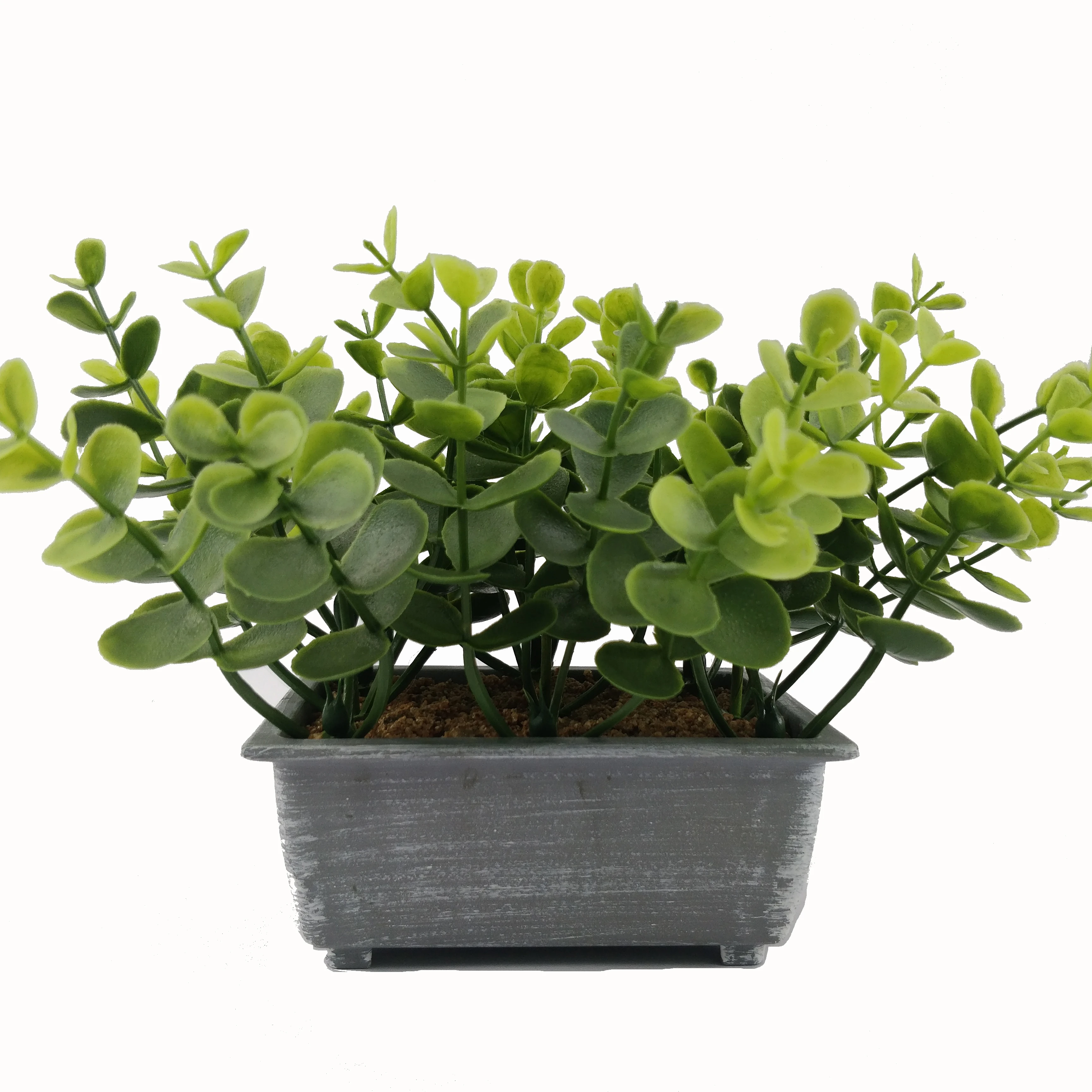 Artificial shrub plant filling indoor and outdoor family artificial money leaf greenery