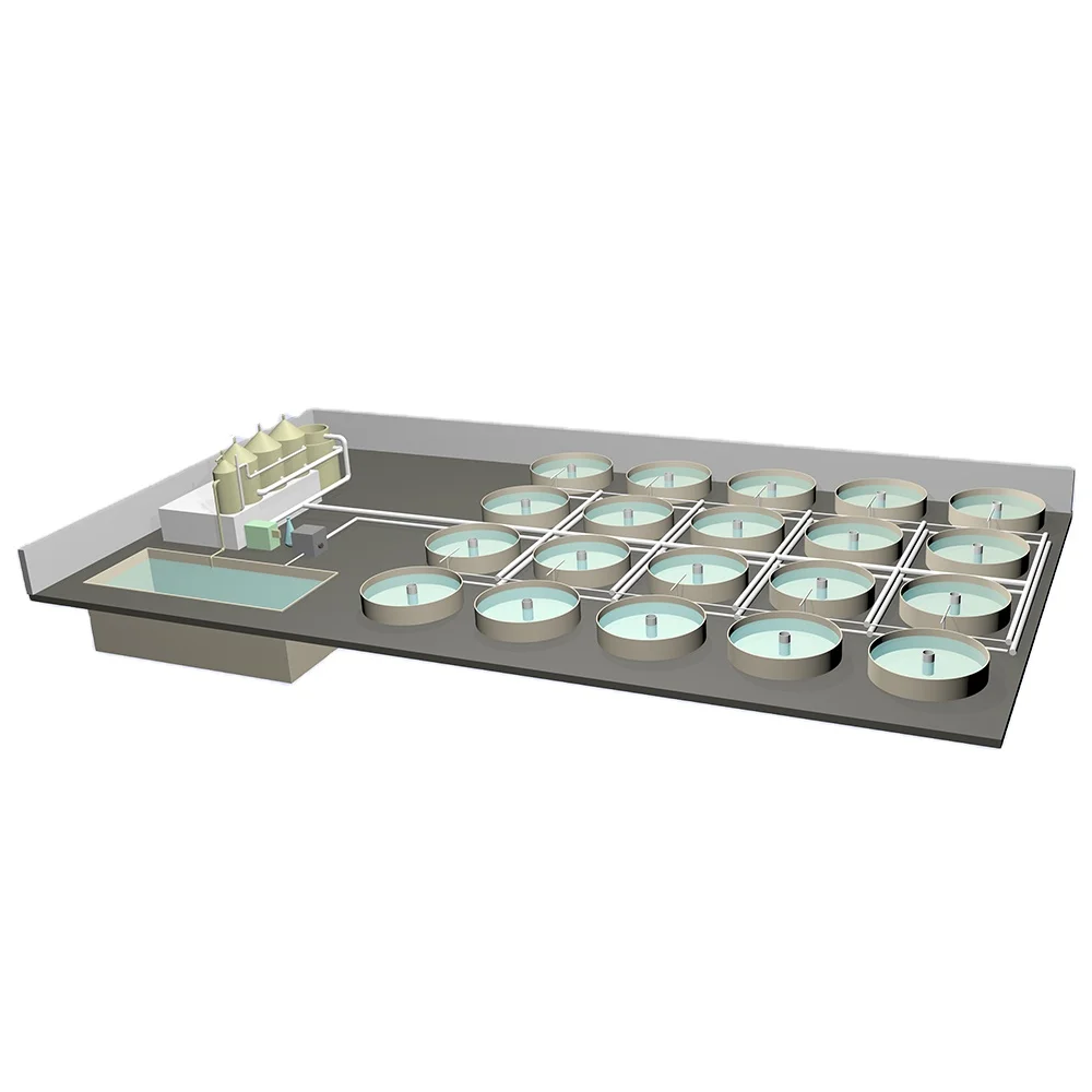 New Ras System Shrimp Culture System,Aquaculture Farming Equipment,Ras Full Setup