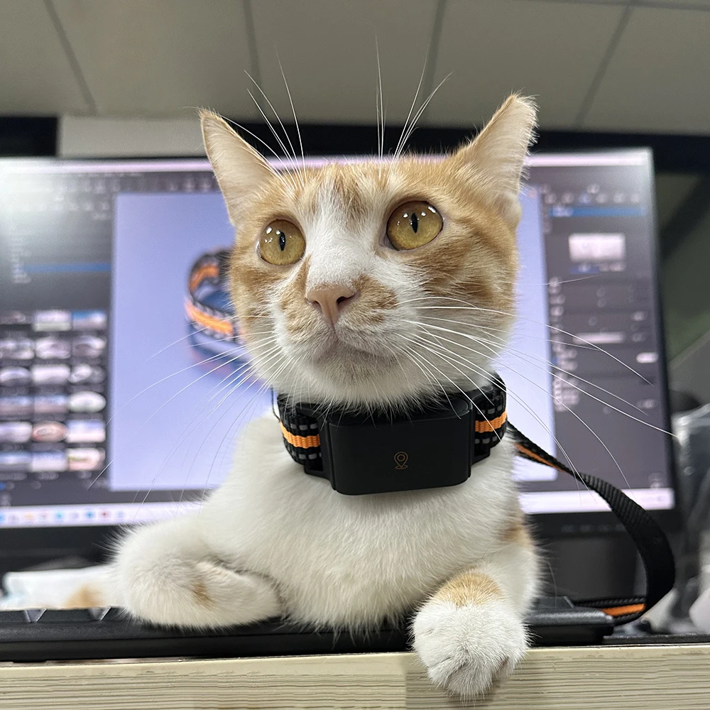 Factory De Tracker Mini Wireless Fence Waterproof 4G Dog Gps Collar Mascotas Gatos Collares Para Perros Con GPS