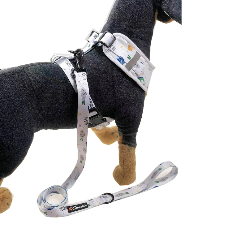 Luxury Harness Dog