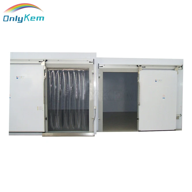 Quick Blast Freezer Cold Storage for Frozen food