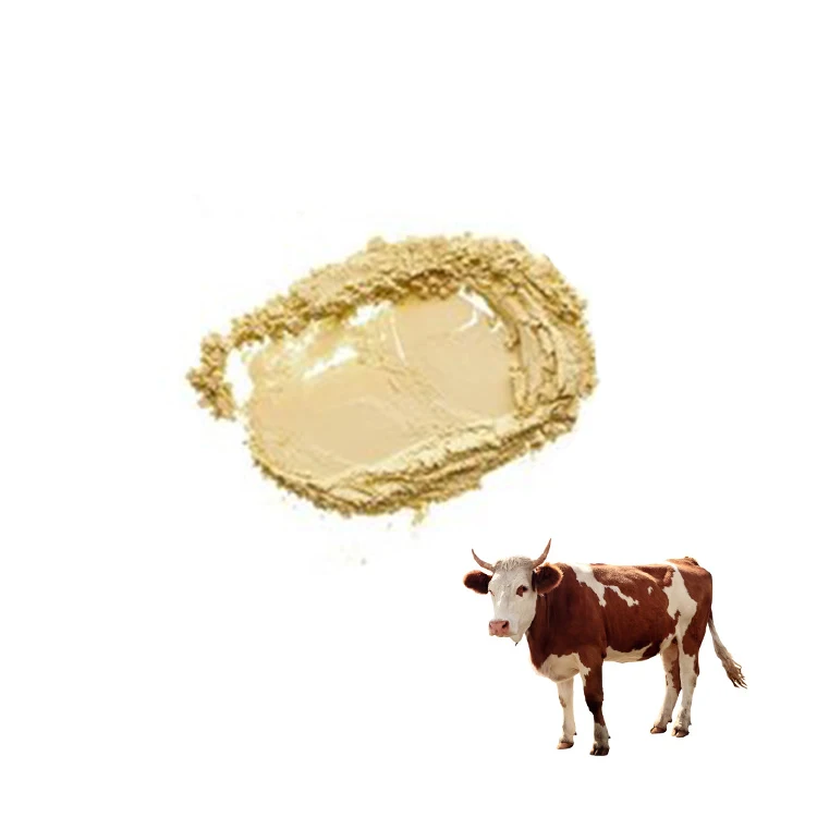 Wholesale Healthcare Supplement  Hydrolyzed Bovine Peptide collagen bovine bone collagen peptide
