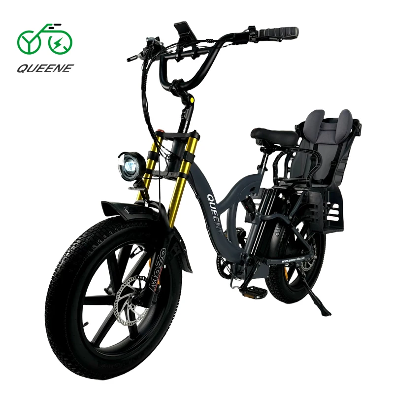 QUEENE/Free Shipping warehouse 20inch 48v 15ah lithium battery Mountain E Bike with 750W 1000W motor for Adult bike electric