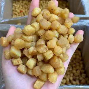 Wholesale Seafood Without Shell Dried Scallop