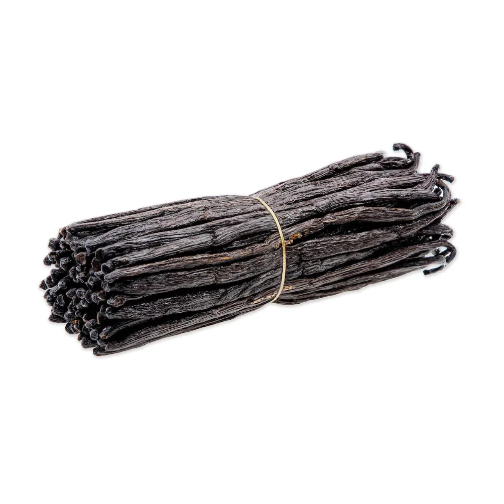 Vanilla Bean Planifolia 18-20 CM Top Selling Premium Indonesia Supplier