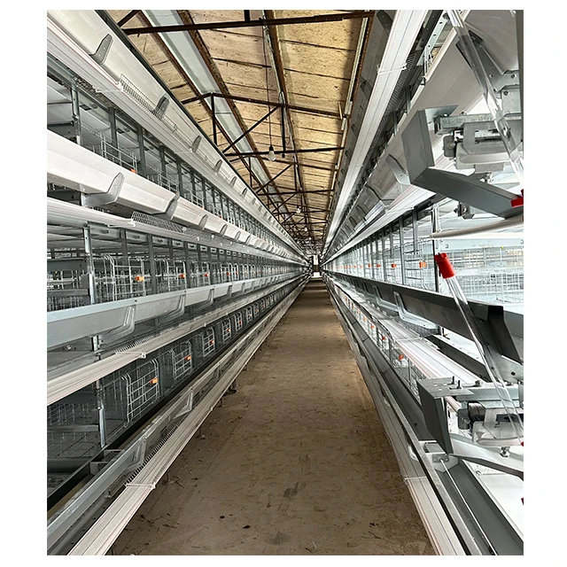 4000-5000birds 4 Layer Battery H Type Chicken Egg Laying Hens Poultry Cage With Automatic Egg Collection System