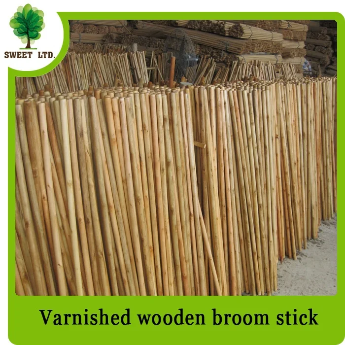 outdoor brush with long handle painting