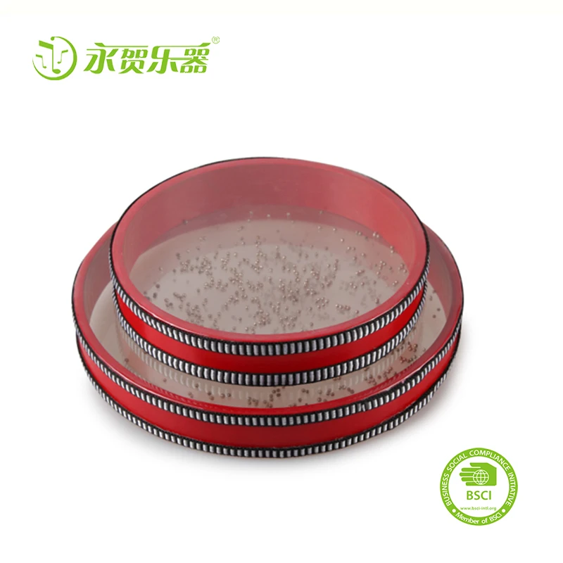 Ocean Wave Bead Drum Gentle Sea Sound Wholesale Orff Percussion Plastic Ocean Drum for Baby Kids Child Musical Instruments