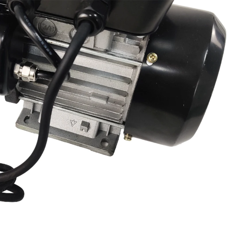 Portable 60LPM AC220V Large Flow Self Priming Electric Preset Diesel Fuel Transfer Pump with Receipt Printer
