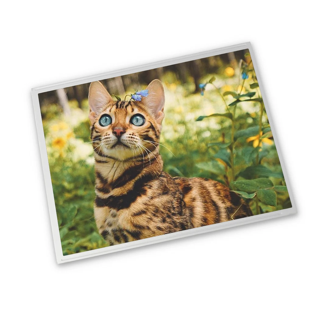 7.0 inch TCG070WVLRHQPA-GD20-00 touch lcd screen 800*480 AWV WLED 30 pins PCAP  tft lcd display module lcd panel