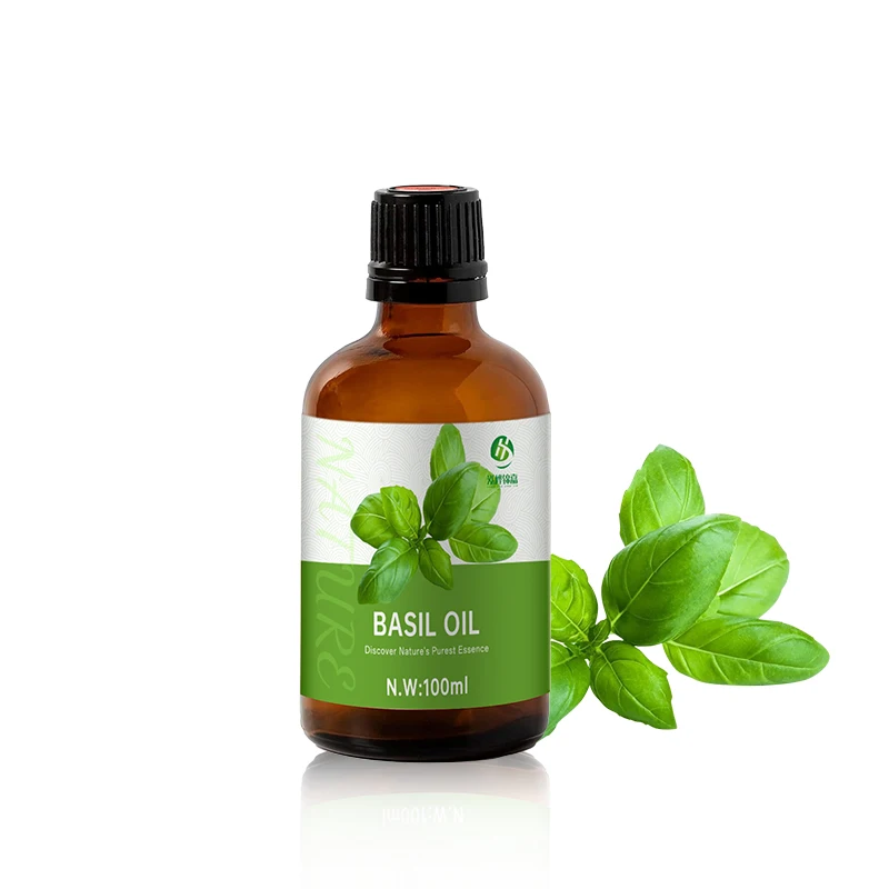 Hot Selling Products 2024 Clove Basil Oil 100ml OEM/ODM From India
