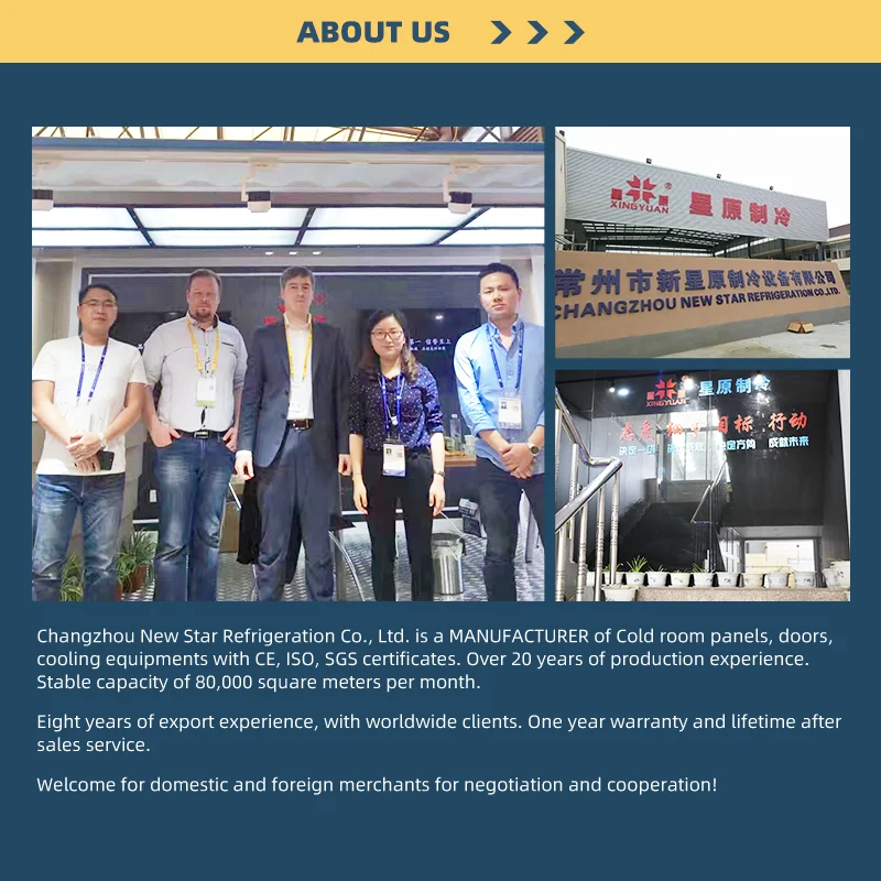 50 ton outdoor preservation cold room sale storage potato for meat or fish, prefab chicken meat cold room