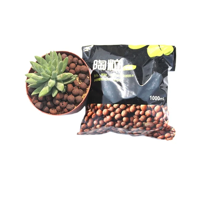 Supply Ceramsite Soilless Culture Hydroponic Plants Flower Home Decor Micro Landscape