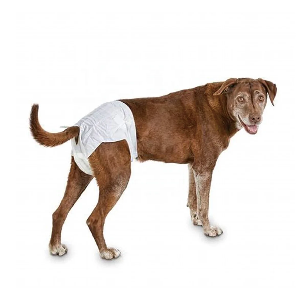 Подгузники для собак