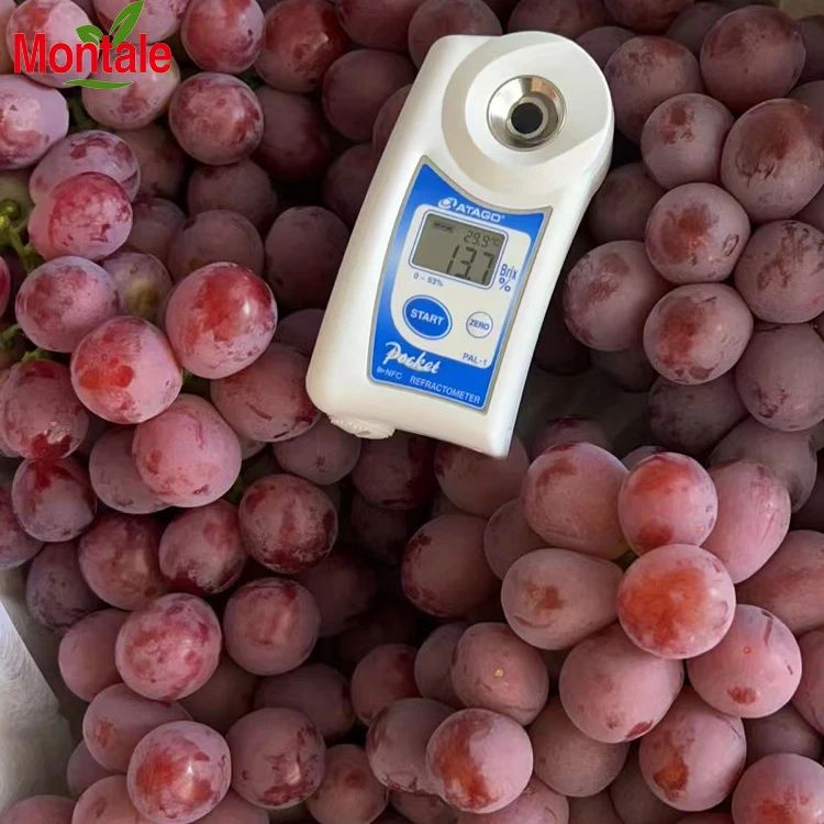 Chinese Factory Price Top Quality Fresh Red Grapes Supply