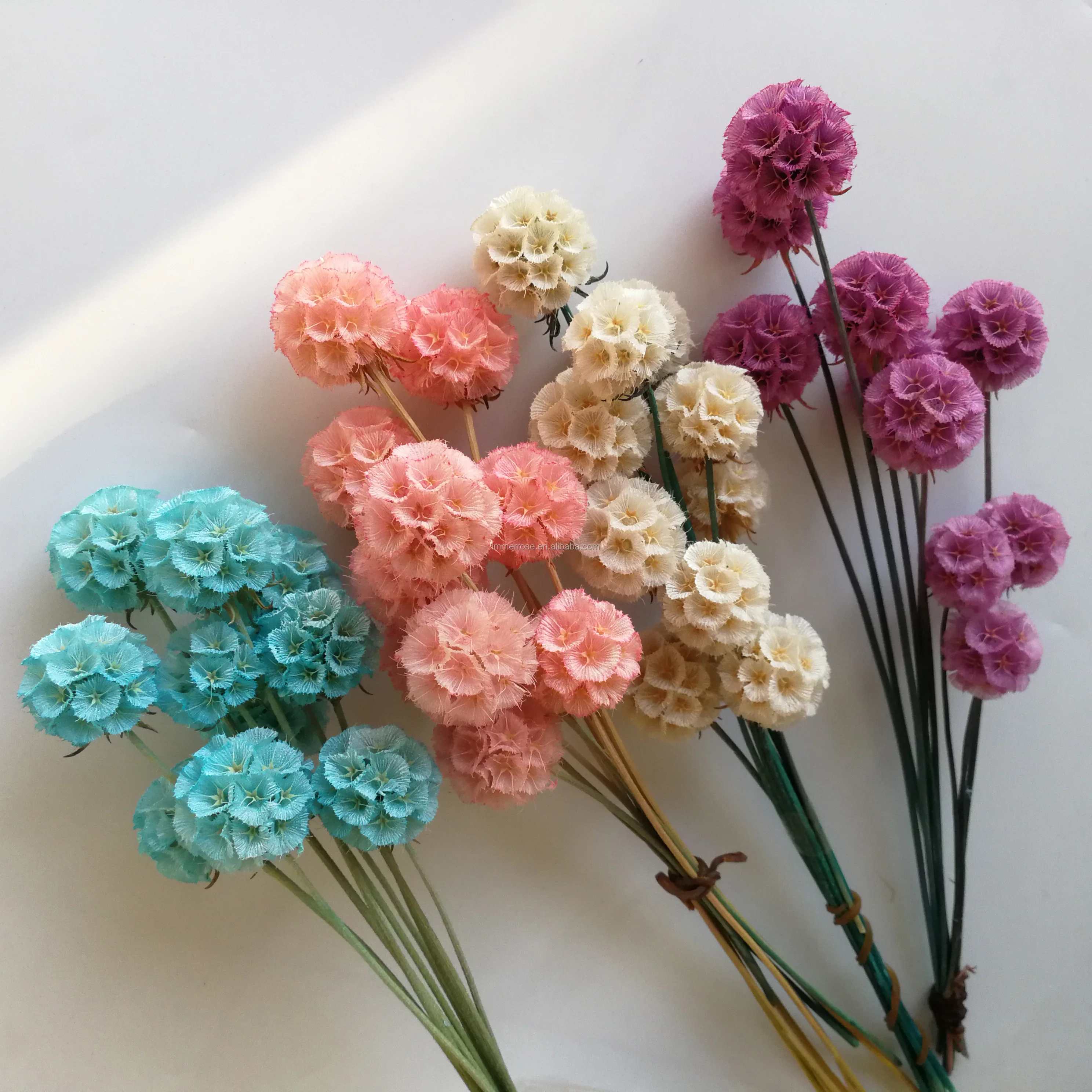 hot selling Pristimera Pine Worm flowers preserved fruit bunch for decoration