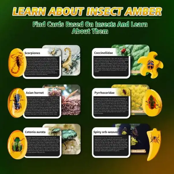 Bug Amber Archaeological Dig Kit Science STEM Insect Resin Fossil Excavation Insect Specimens Educational Toy  For Kid