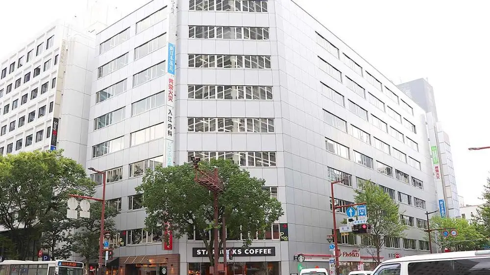 
Japanese organic natural diabetes food supplement food grade inulin 