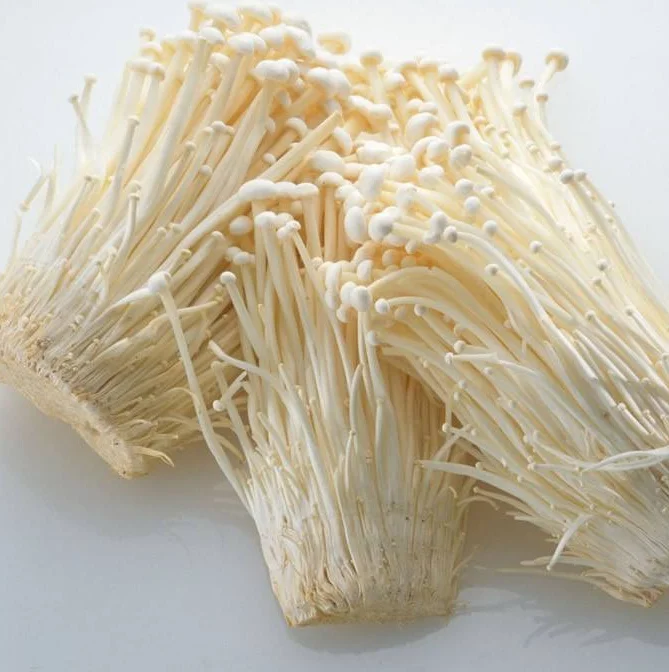 
Fresh Enoki Mushroom 