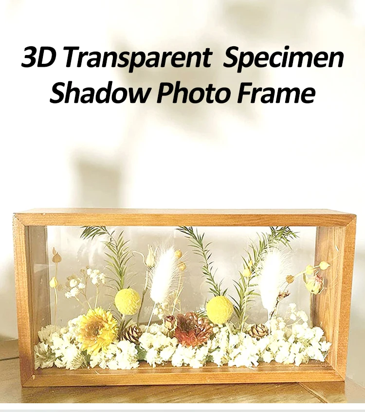 Wholesale shadow box frame 3D Transparent Specimen DIY Frame for dry flower home decoration