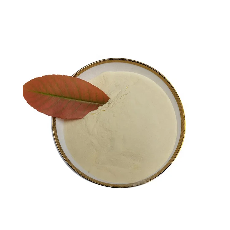 High grade Freeze dried probiotics powder of Lactobacillus paracasei for fermented foods and probiotic-fortified foods