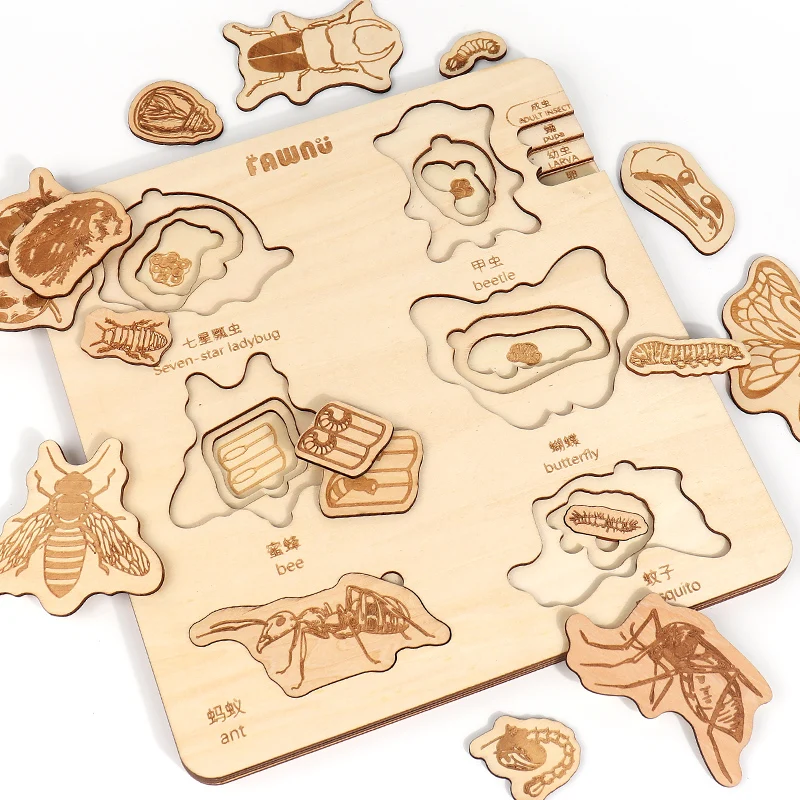 2024 new Biological Evolution Multi-layered Jigsaw Puzzle Early Education DIY Toy Featuring Animal Insect for kids boys girls