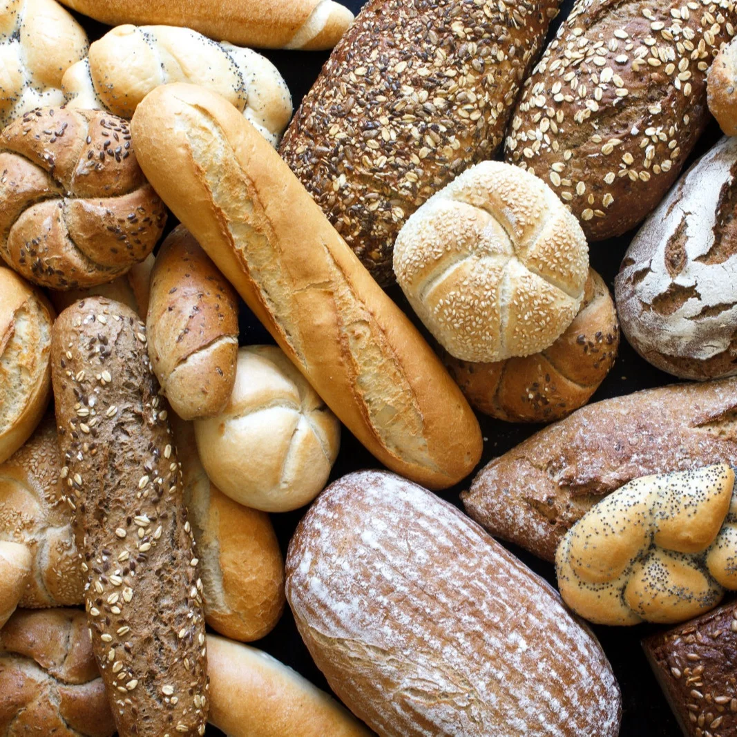 spiral freezer belt plastic spiral belt