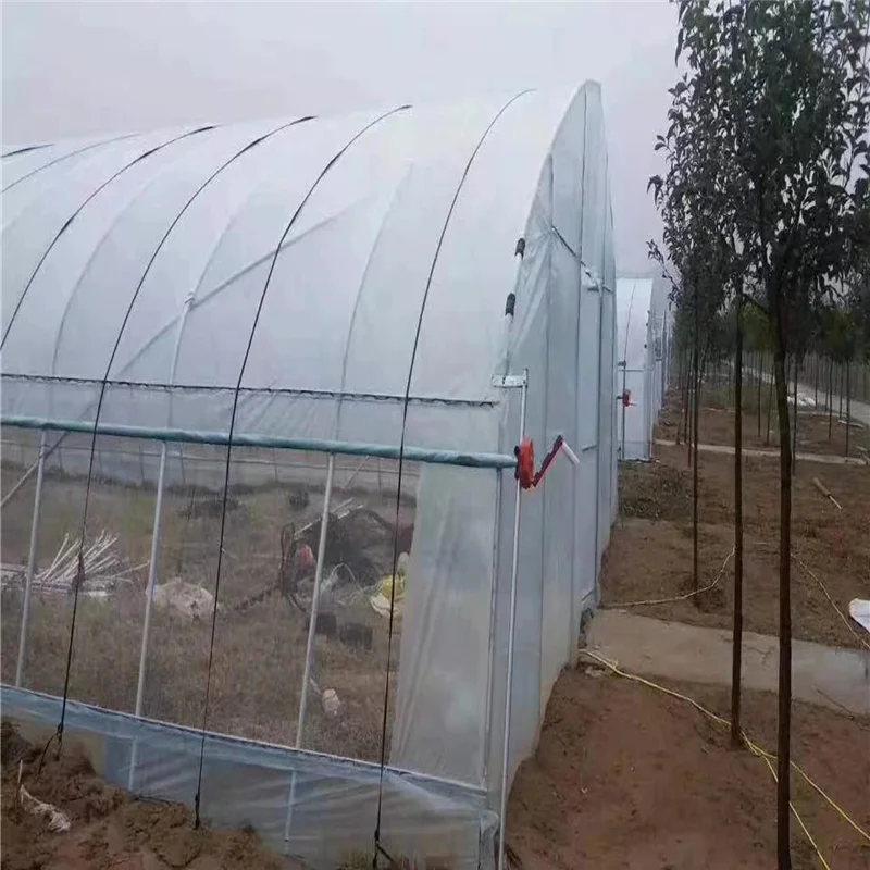 Low price Arches Tunnel Poly Film Green House for Agriculture Farming