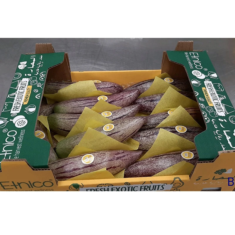 Лучшая цена, поставщик фруктов, сладкая Пепино, дыня, огурец, свежие фрукты