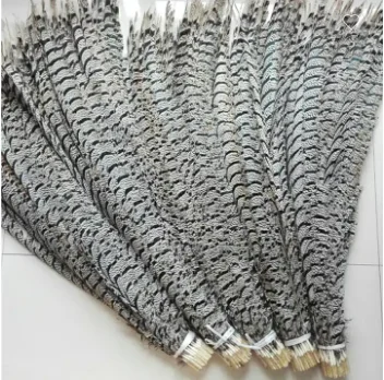 China factory price artificial pheasant tail feathers for carnival costumes