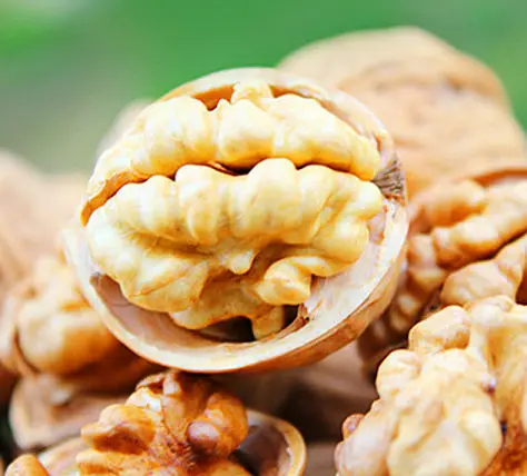 Best quality raw thin skin healthy walnuts unwashed Wholesale paper shell walnuts for cheap sale
