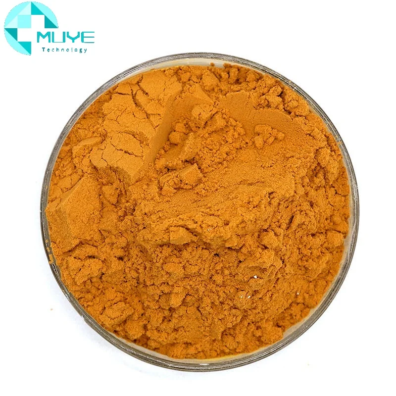 Wholesale Bulk 100% natural Pure 2% 10% Ajuga Turkestanica Extract Powder Turkesterone