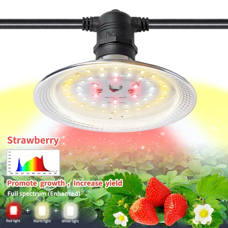 DIsh lamp UFO 90W Strawberry Growth Light 180W American Plug Light String 15W Plant lamp Full Spectrum Yellow&White&Red LED bulb