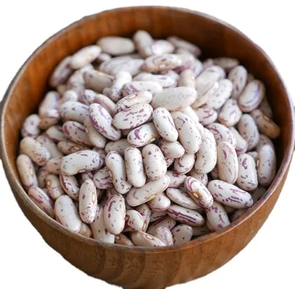 Китайский удлиненного семена немножечко крапчатые Фасоли LSKB