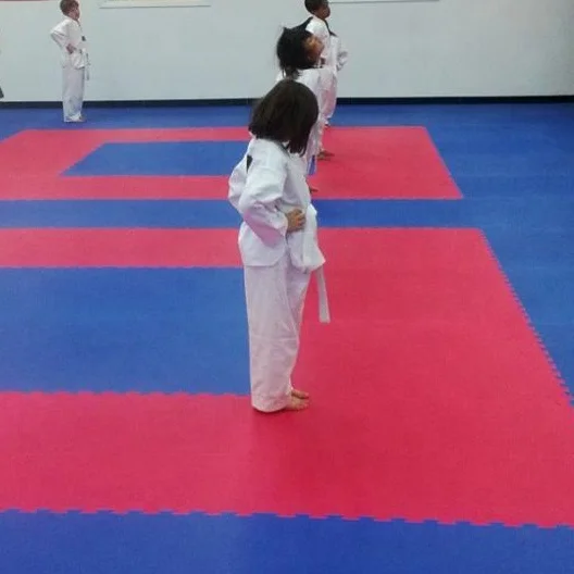 Factory Outlet Sanda Training Mat Taekwondo Training Mat Karate Equipment Dojo Ijf Approved Judo Mat