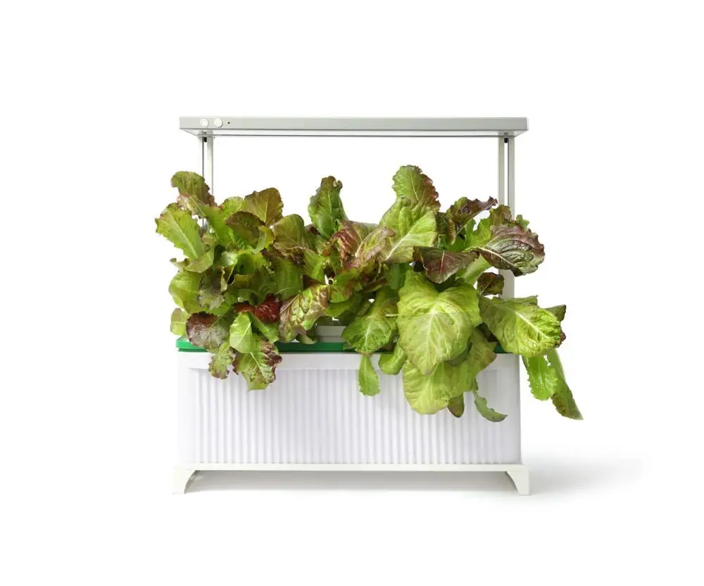 Высококачественные и дешевые гидронаборы, коробка для трав, цветочные горшки