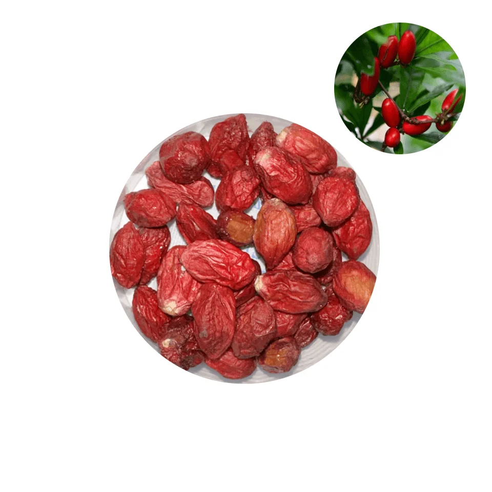 ODM OEM Wholesale  miracle berry extract tablets miracle fruit powder freeze dried miracle fruit