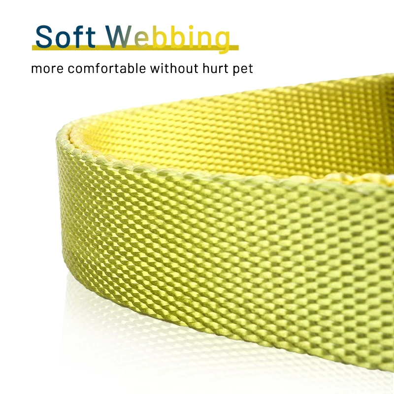 Top pet products multi gradient color adjustable pet dog collar nylon webbing custom solid color rainbow dog collar