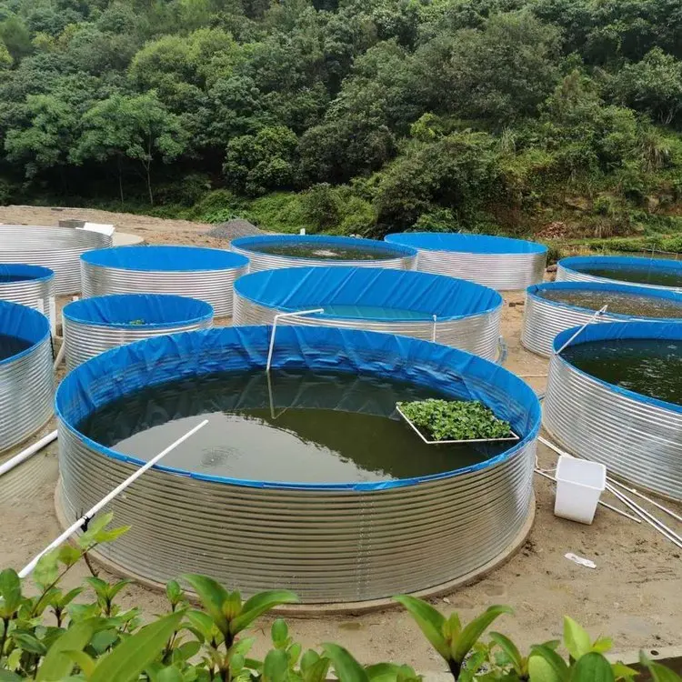 Tilapia fish pond Canvas fishpond for tilapia fish feeding farming